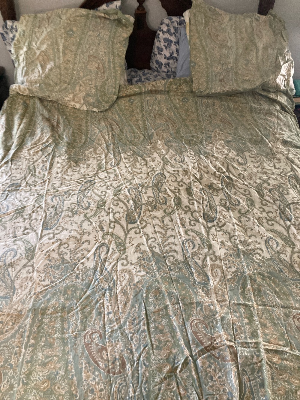 Pottery barn Green Paisley Home full/queen duvet and pillow shams